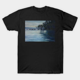 Pelican Island - a closer look T-Shirt